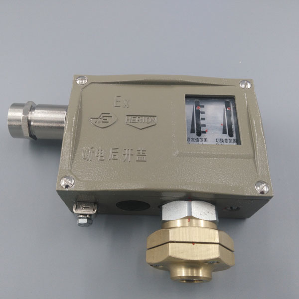 D500/7D防爆型壓力控制(zhì)器(qì)