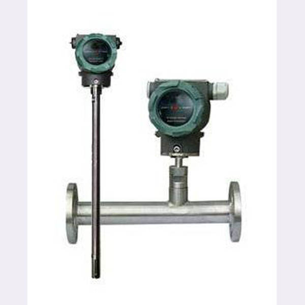 熱(rè)式質量流量計(jì)