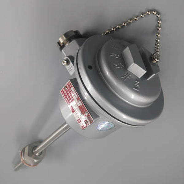 本安防爆熱(rè)電(diàn)阻